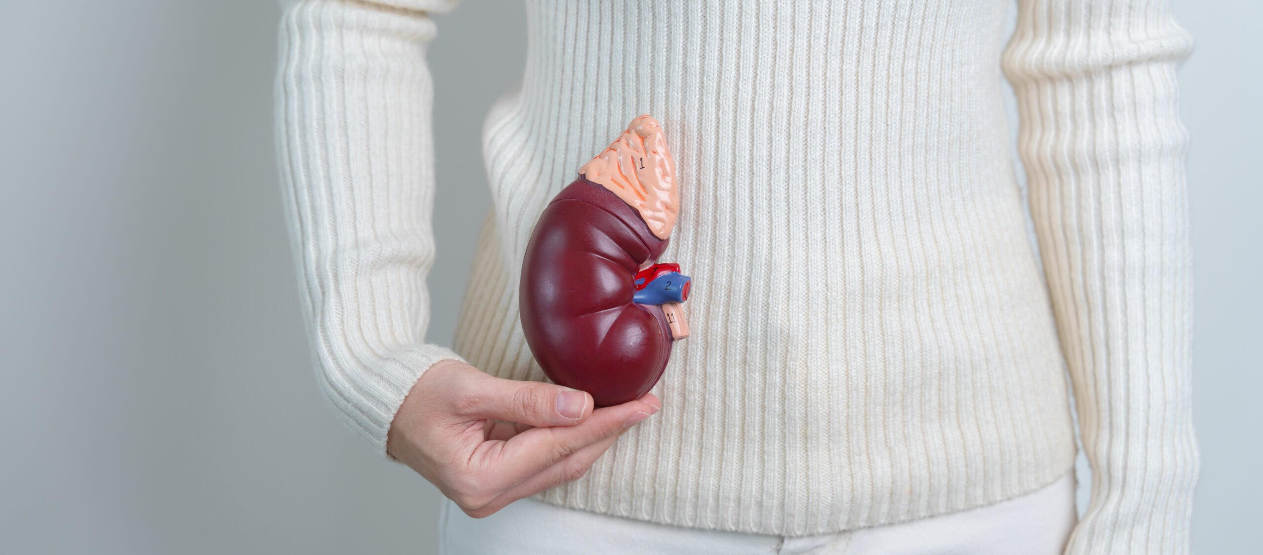Personalising the Path to Lifelong Kidney Transplant Success – New Success Story published
