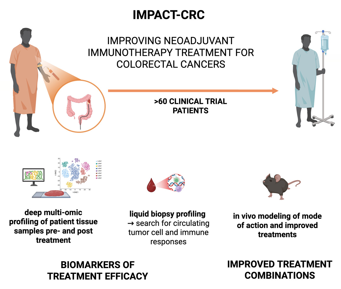 Figure explaining IMPACT-CRC project