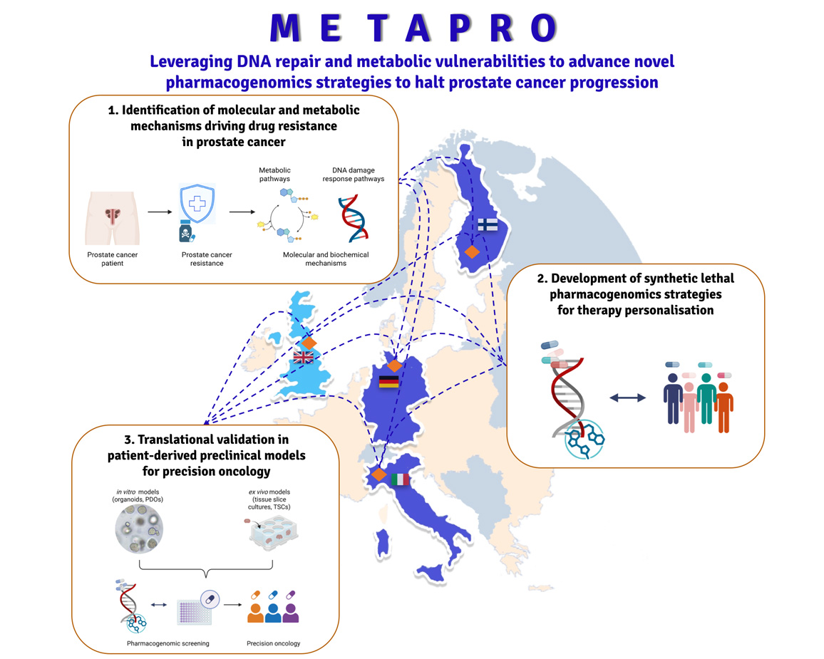 Figure explaining METAPRO project