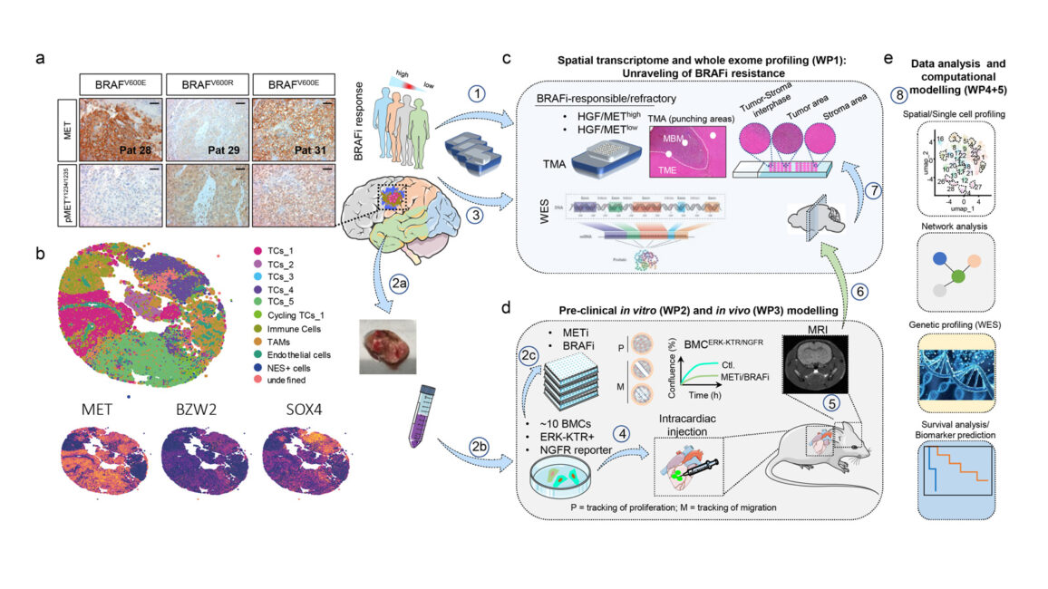 Figure explaining STAR-MBM project